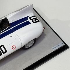 1:18 Jaguar D Type Watkins Glen Winner 1955 - Tecnomodel